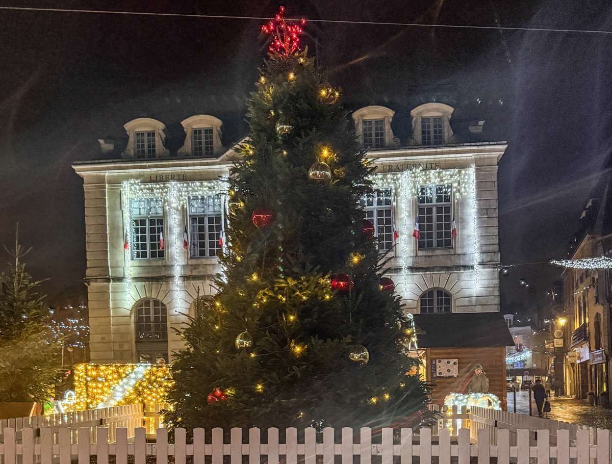 908-1765901517-58288@1200.jpg 908-1765901517-58288@1200.jpg