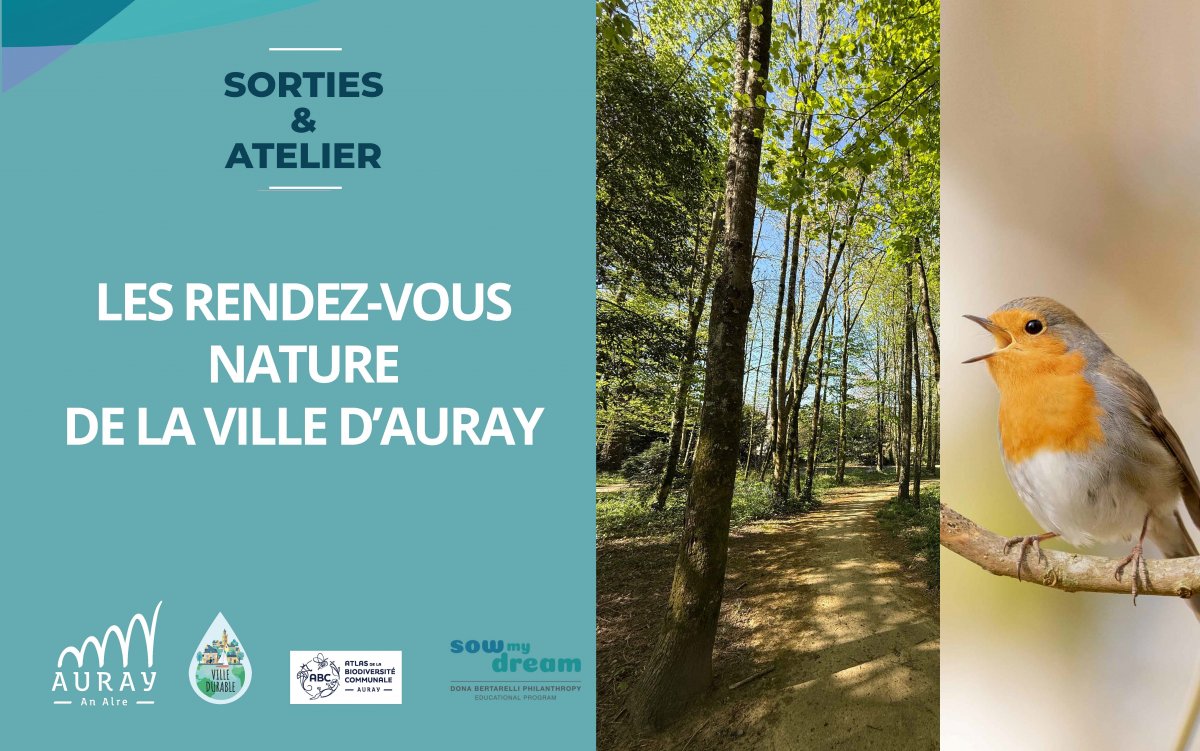 908-1775739526-73302@1200.jpg 908-1775739526-73302@1200.jpg