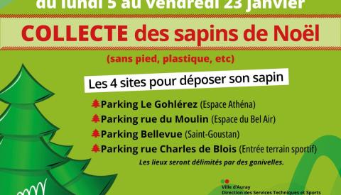 🌲 Collecte des sapins de Noël du 5 au 23 janvier