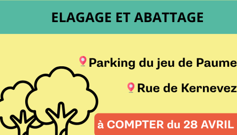 Travaux d'élagage et d'abattage d'arbres