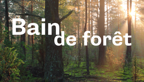 Balade nature et santé