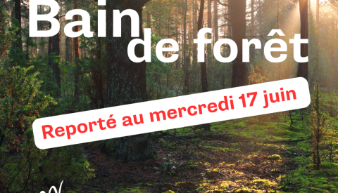 🌳 Bain de forêt reporté au mercredi 17 juin