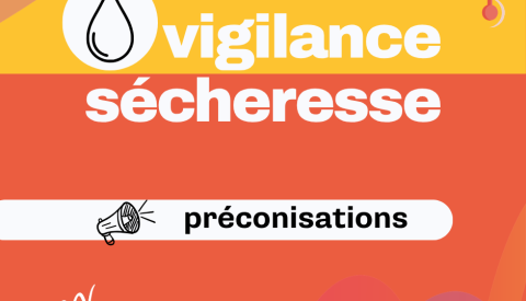 Vigilance sécheresse, Auray est concernée