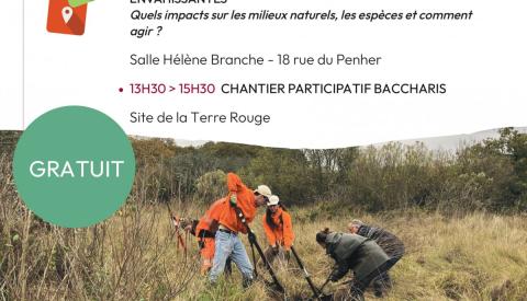 🌾FORMATION Plantes exotiques envahissantes 🌾