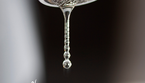 💧Familles engagées pour l'eau : rejoignez le défi ! 💧