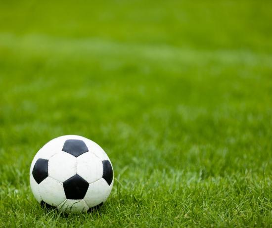Le terrain du Printemps