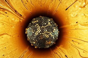 galerie-Galerie - 20251001111654