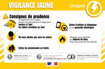 galerie-Galerie - 20250903091642