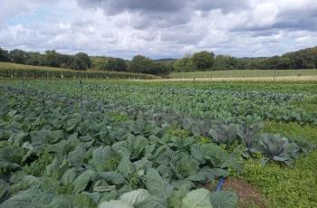 galerie-Galerie - 20250925121302