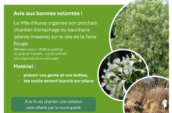 galerie-Galerie - 20250930165842