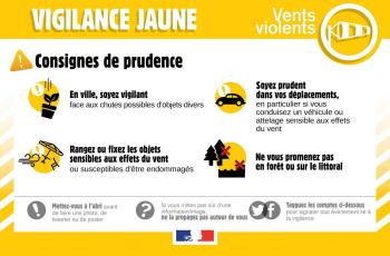 galerie-Galerie - 20251022085642