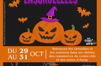 galerie-Galerie - 20251026121241