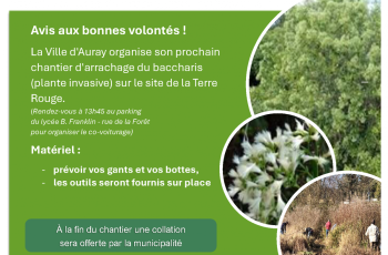 galerie-Galerie - 20251027145643