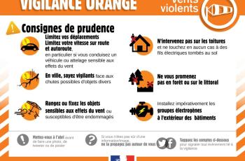 galerie-Galerie - 20260205113241