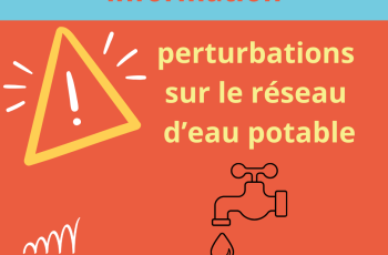 galerie-Galerie - 20260211113242