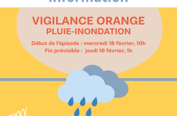 galerie-Galerie - 20260217173045