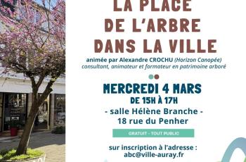 galerie-Galerie - 20260302124106