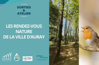 galerie-Galerie - 20260409145046